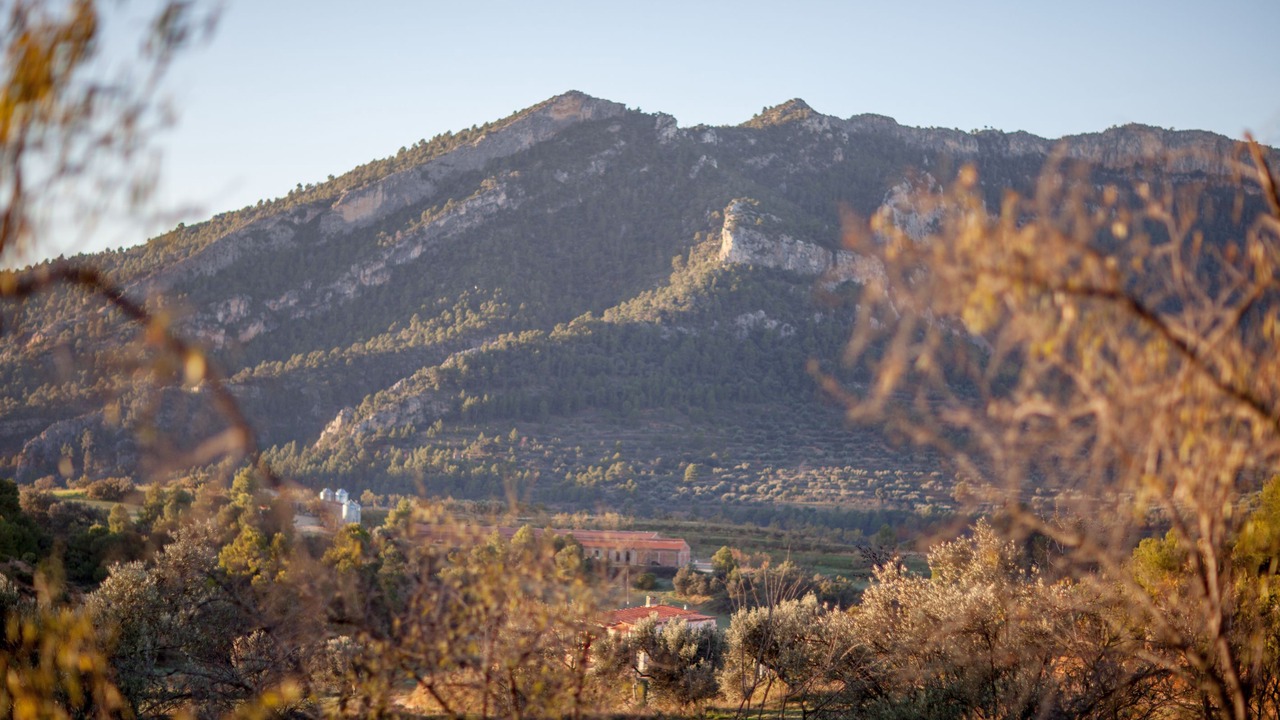 Photo of Others in Valderrobres
