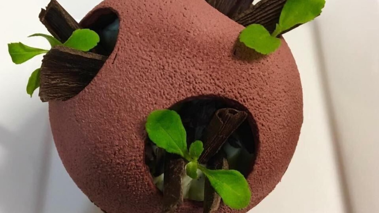 Photo of Others in Olivet