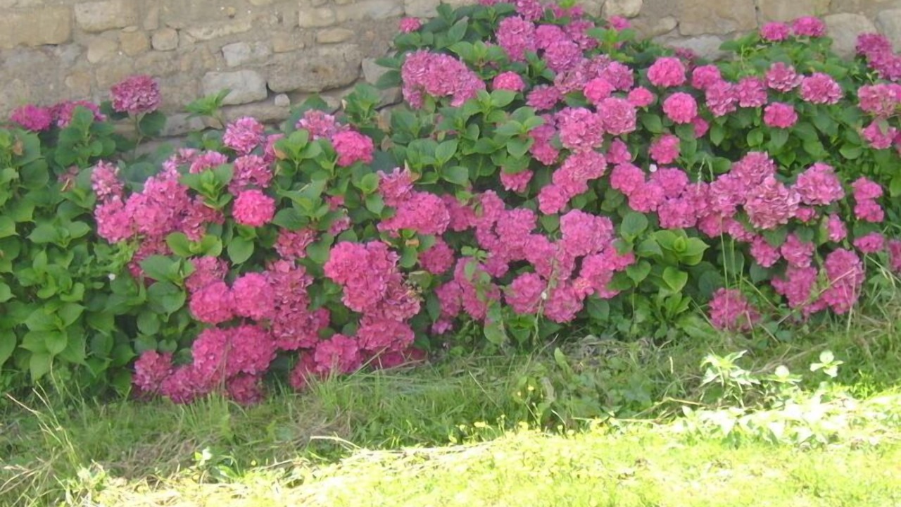 Photo of Outdoor in Saint-Hilaire-des-Loges