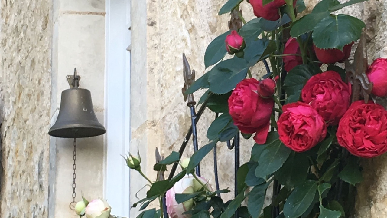 Photo of Outdoor in Saint-Hilaire-des-Loges