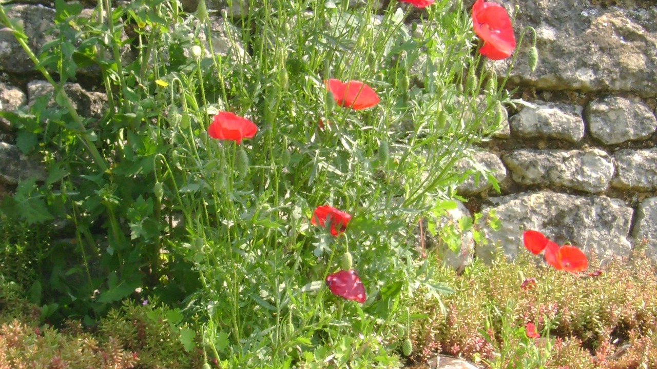 Photo of Outdoor in Saint-Hilaire-des-Loges