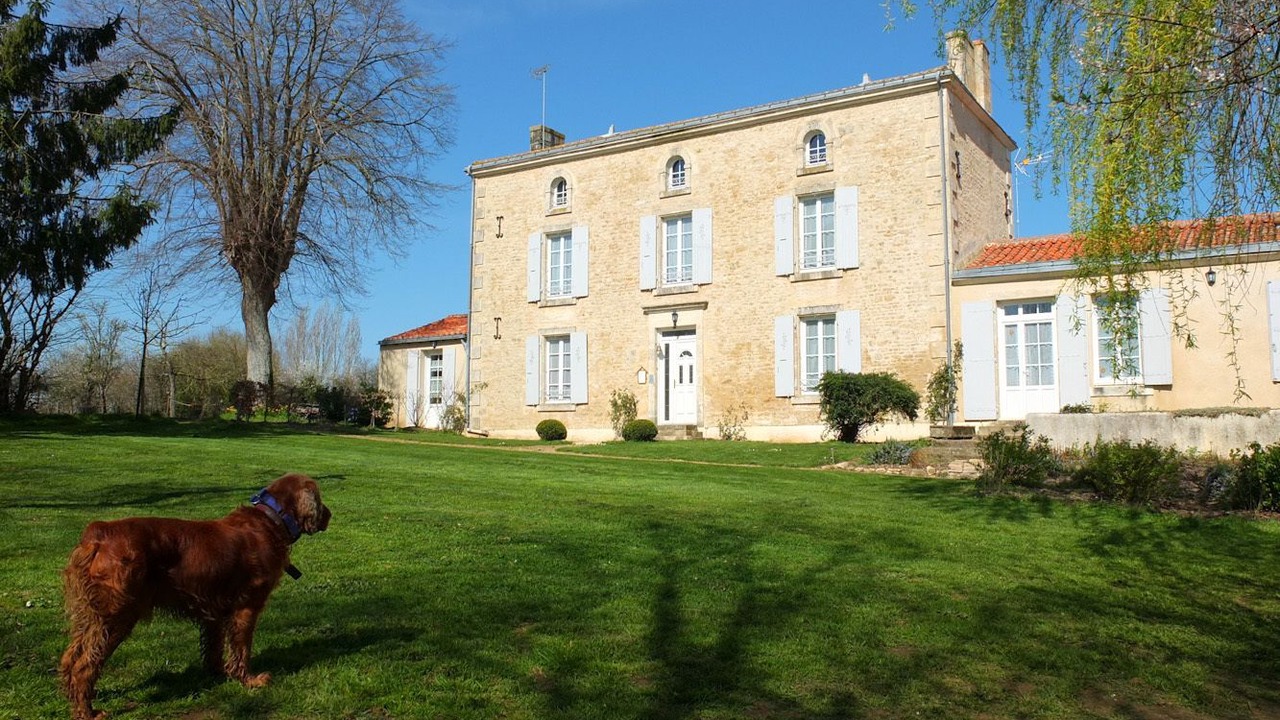 Photo of Outdoor in Saint-Hilaire-des-Loges