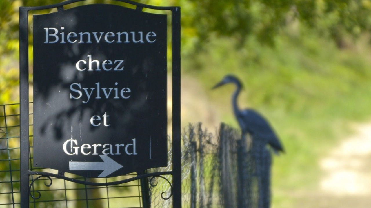 Photo of Outdoor in Sainte-Gemme-d'Andigne