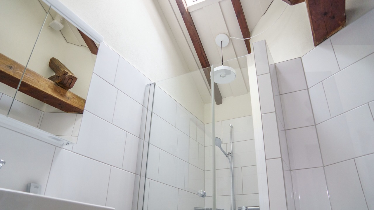 Photo of Bathroom in St. Gallen