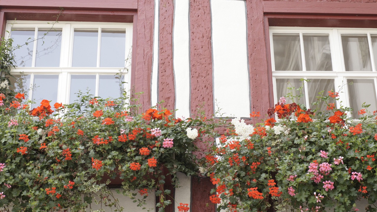 Photo of Others in St. Gallen