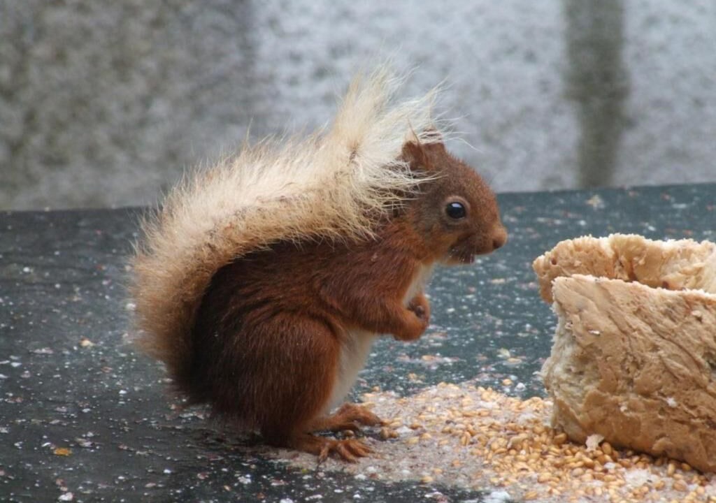 Photo of Outdoor in Borrowdale