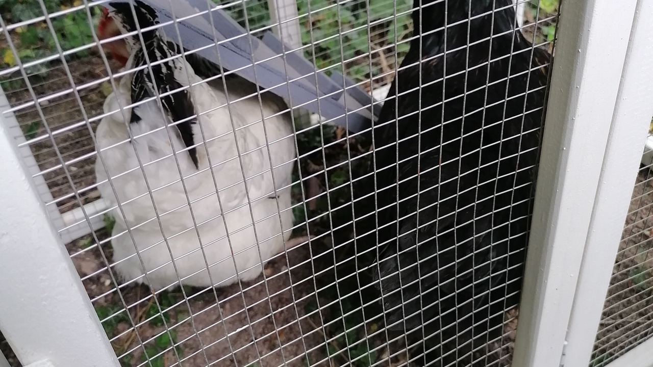 Photo of Outdoor in Jalons