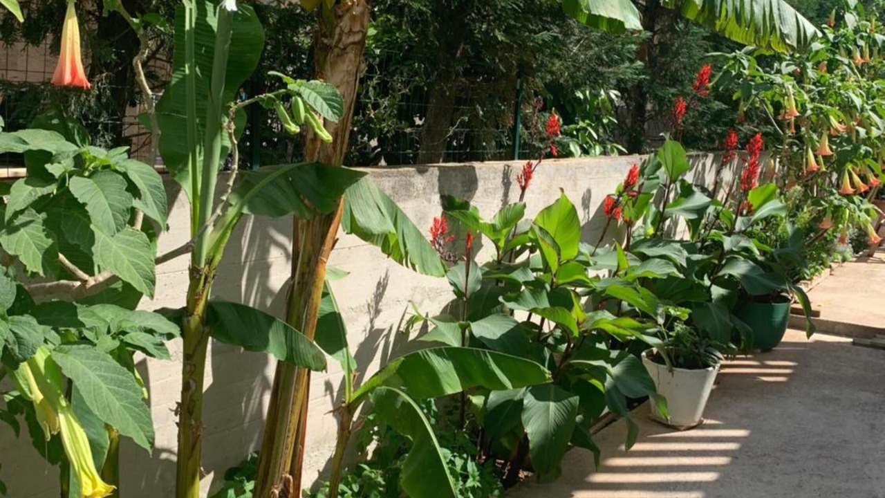 Photo of Outdoor in Babin Kuk