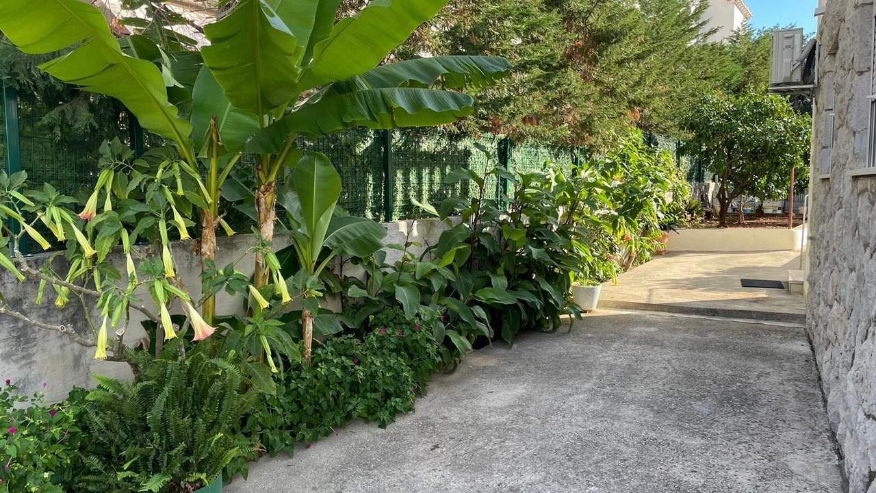 Photo of Outdoor in Babin Kuk