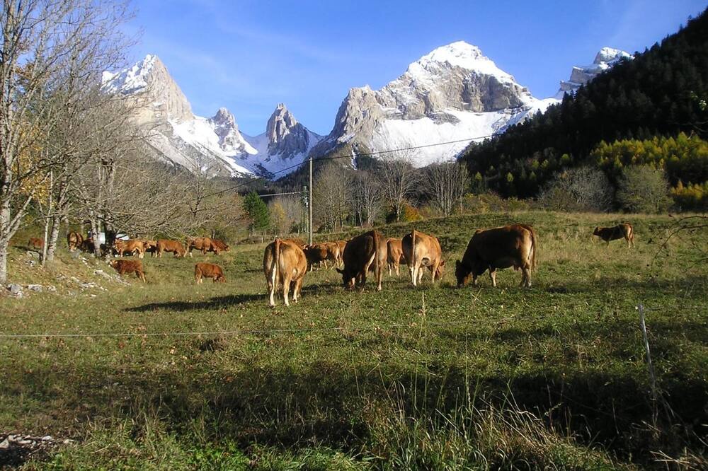 Photo of Outdoor in Lus-la-Croix-Haute