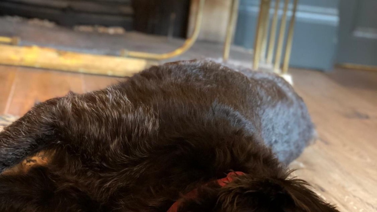 Photo of Others in Beetham