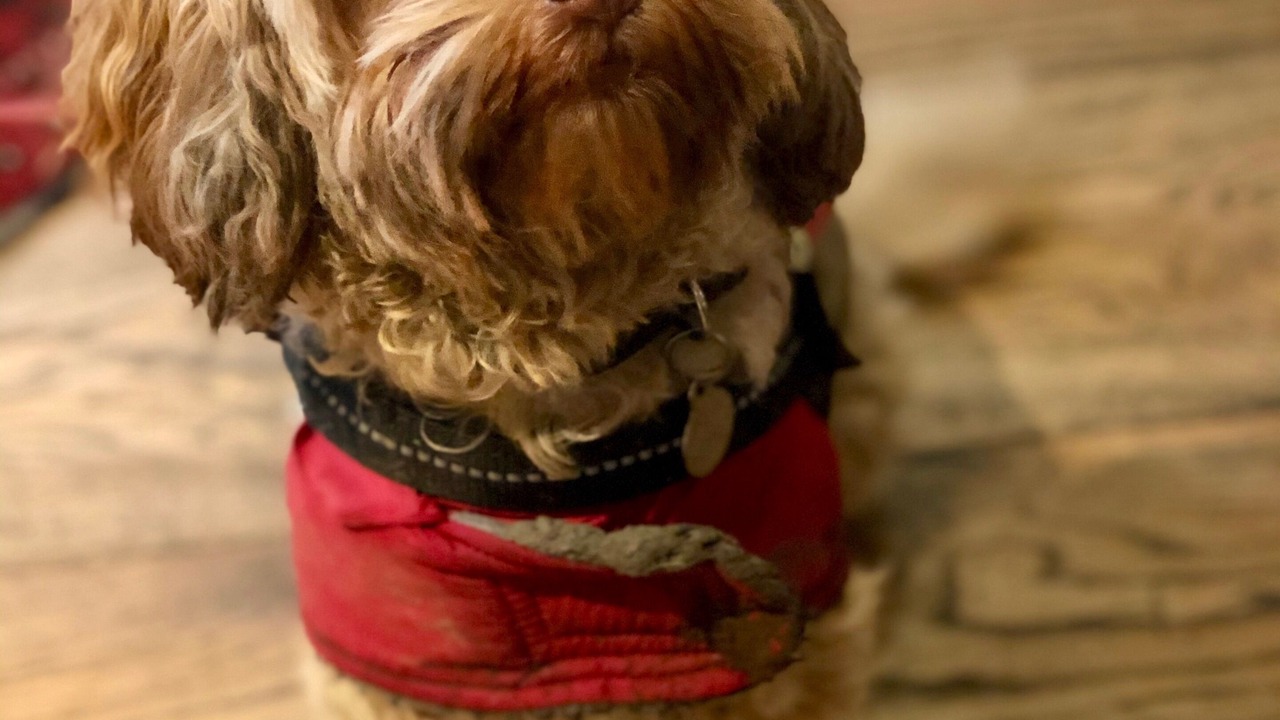 Photo of Others in Beetham