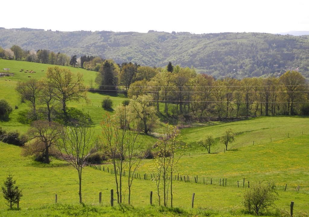 Photo of Others in Saint-Victor-sur-Loire