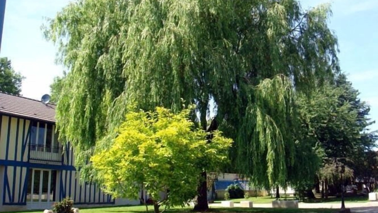 Photo of Outdoor in Thieblemont-Faremont