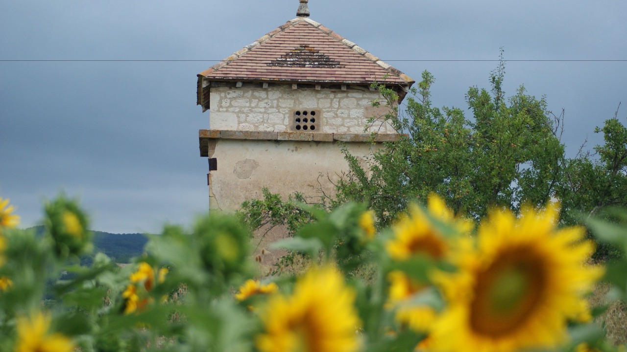 Photo of Outdoor in Castelnau-de-Montmiral