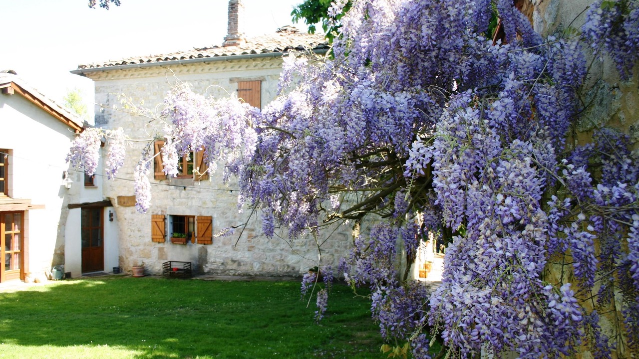 Photo of Others in Castelnau-de-Montmiral