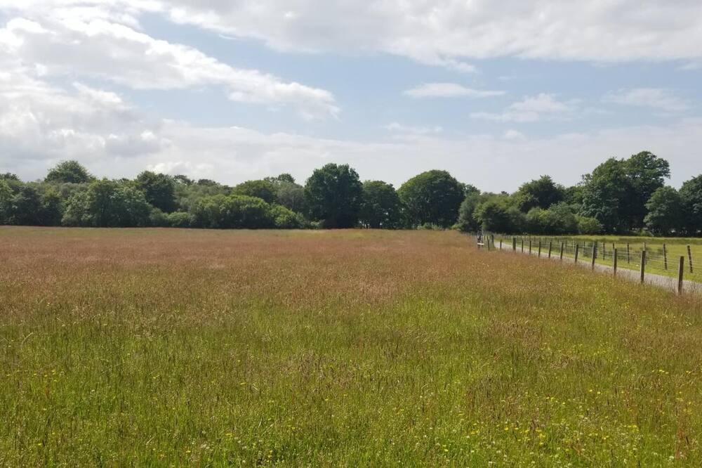 Photo of Outdoor in Benderloch