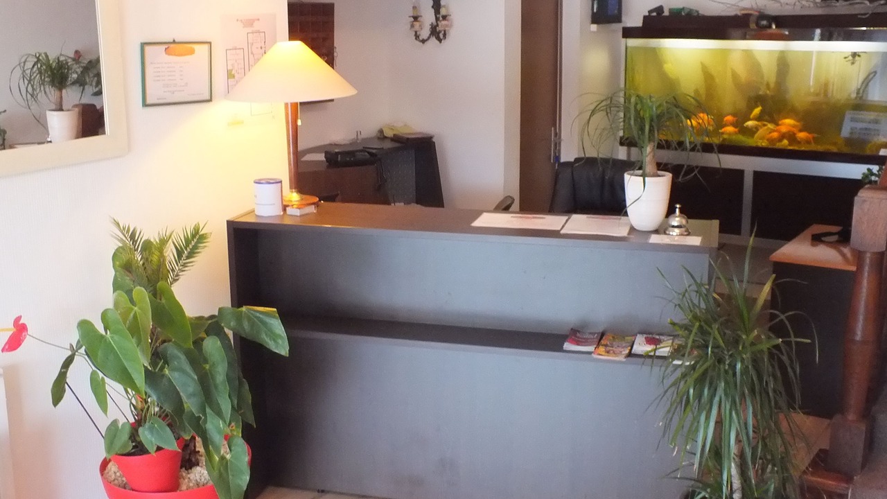 Photo of Others in Peyrat-de-Bellac