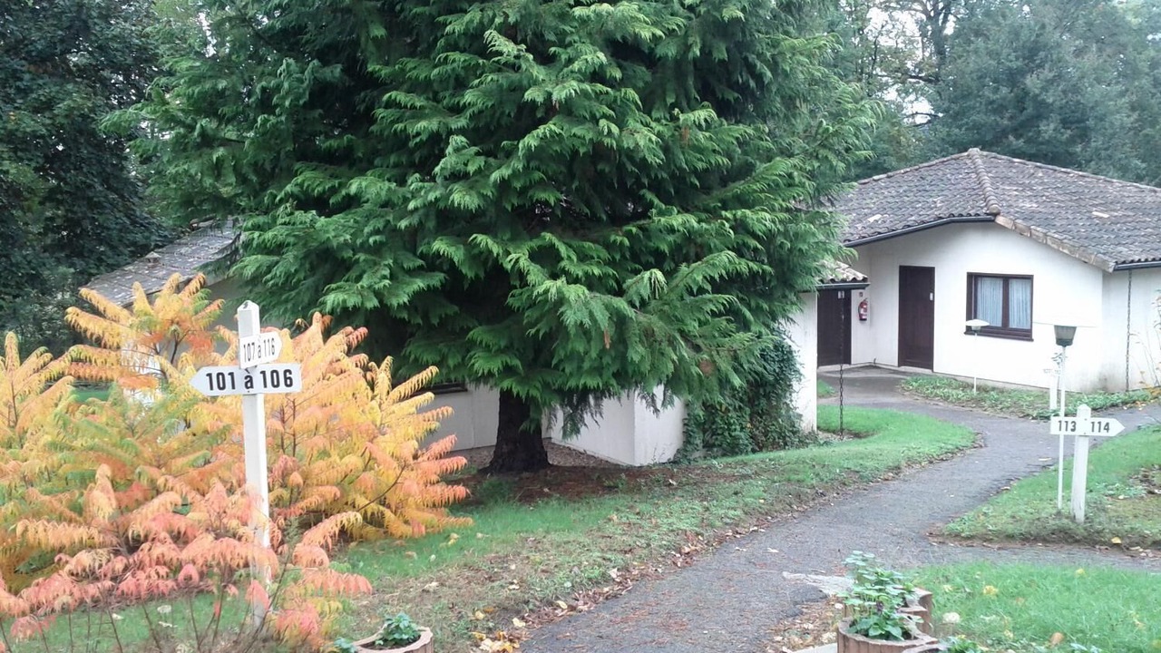 Photo of Outdoor in Peyrat-de-Bellac