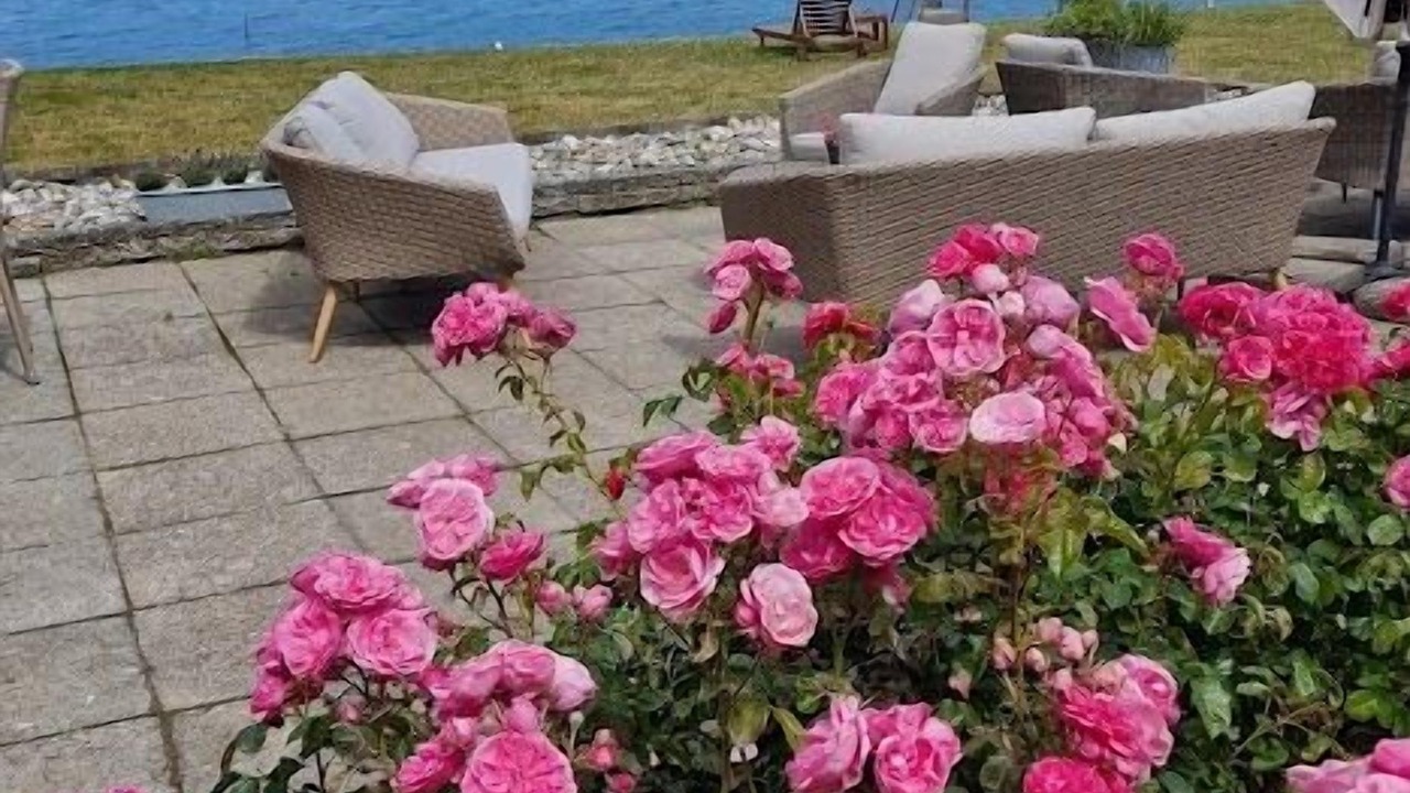 Photo of Patio Balcony in Marstal