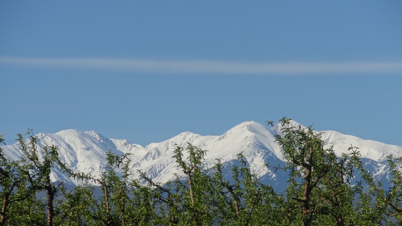 Photo of Outdoor in Millas