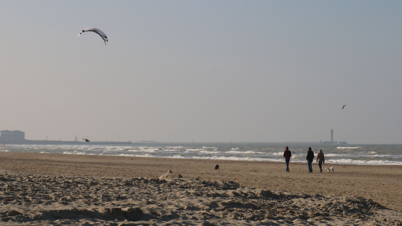 Photo of Others in Malo-les-Bains