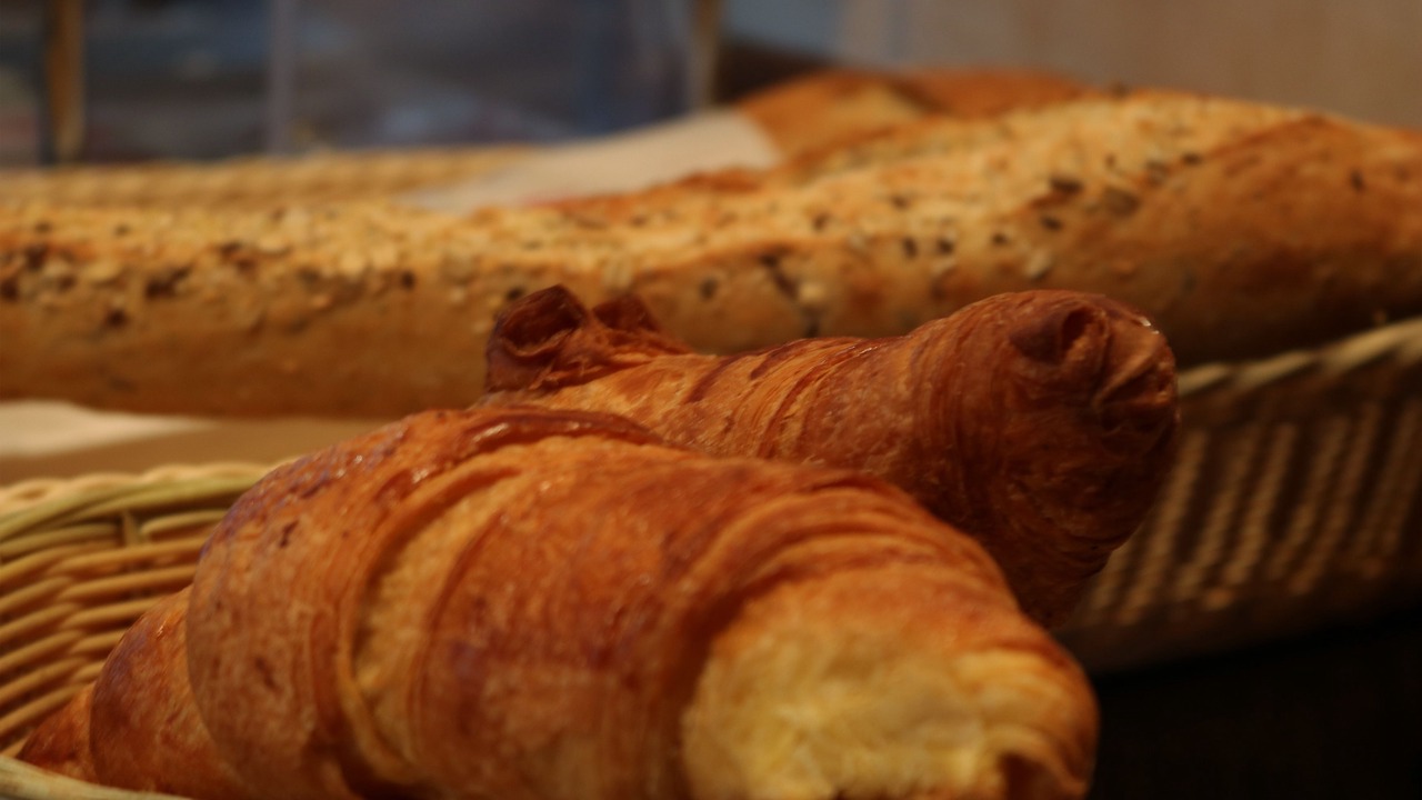 Photo of Others in Malo-les-Bains