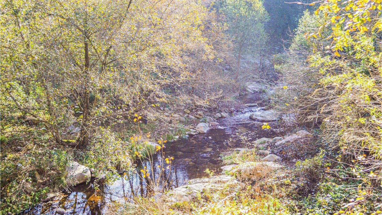 Photo of Outdoor in Osor