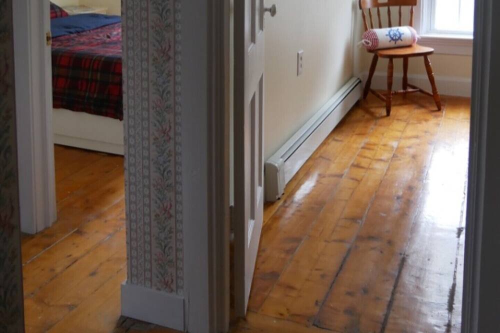 Photo of Others in Indian Harbour