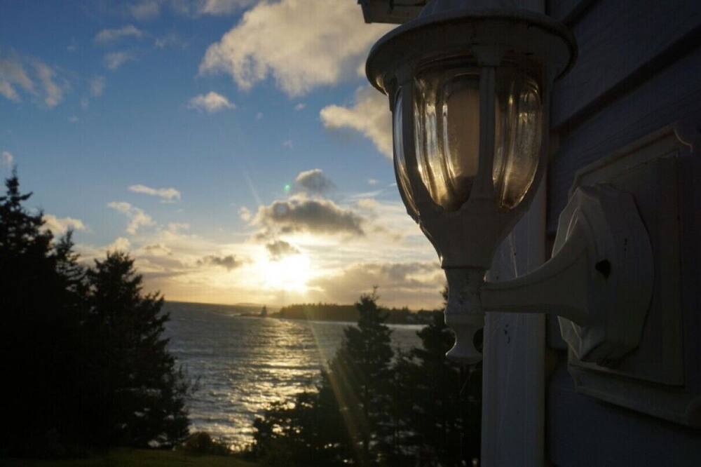 Photo of Others in Indian Harbour