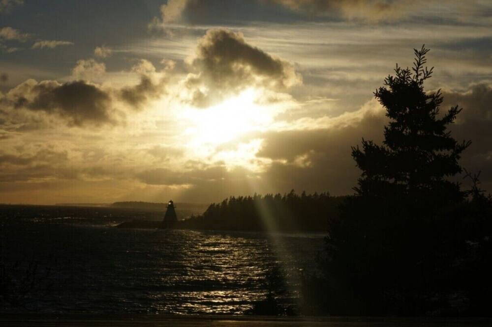 Photo of Others in Indian Harbour