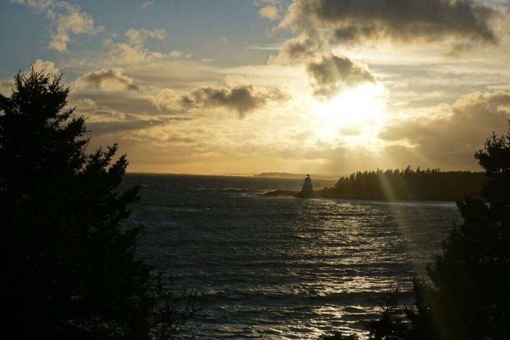 Photo of Others in Indian Harbour