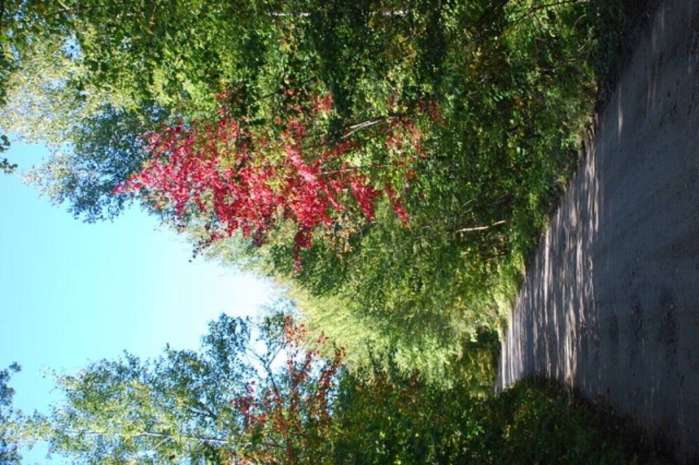 Photo of Outdoor in Guerin