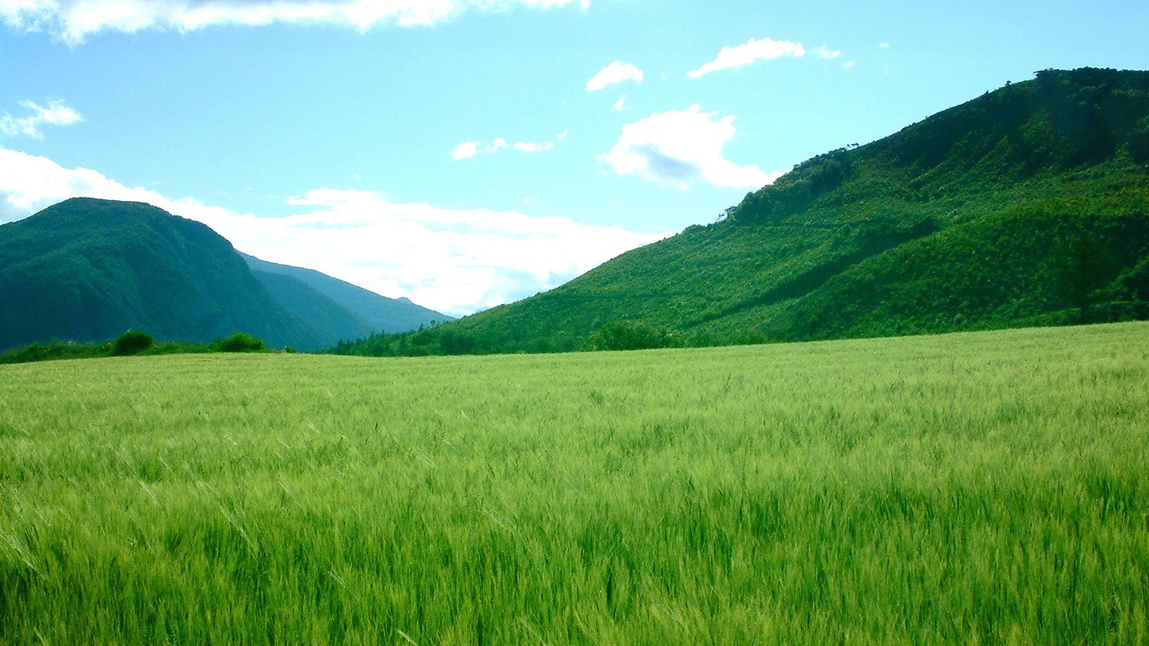 Photo of Others in Venterol