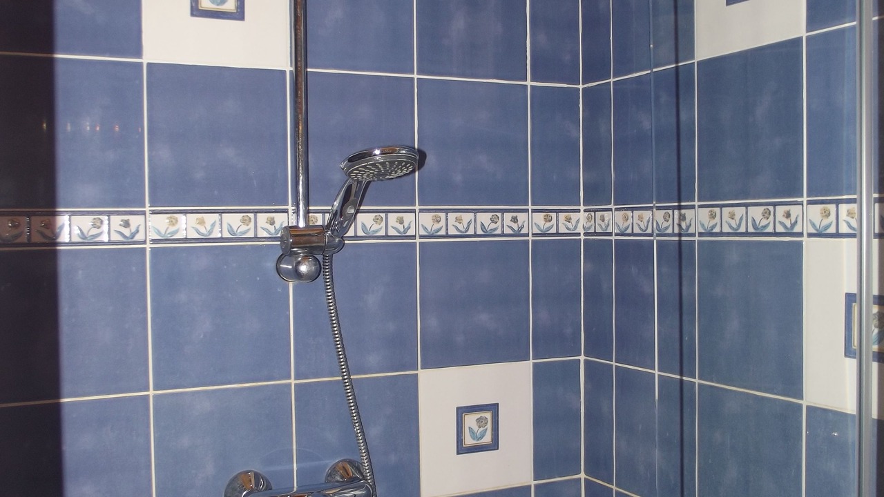 Photo of Bathroom in Venterol