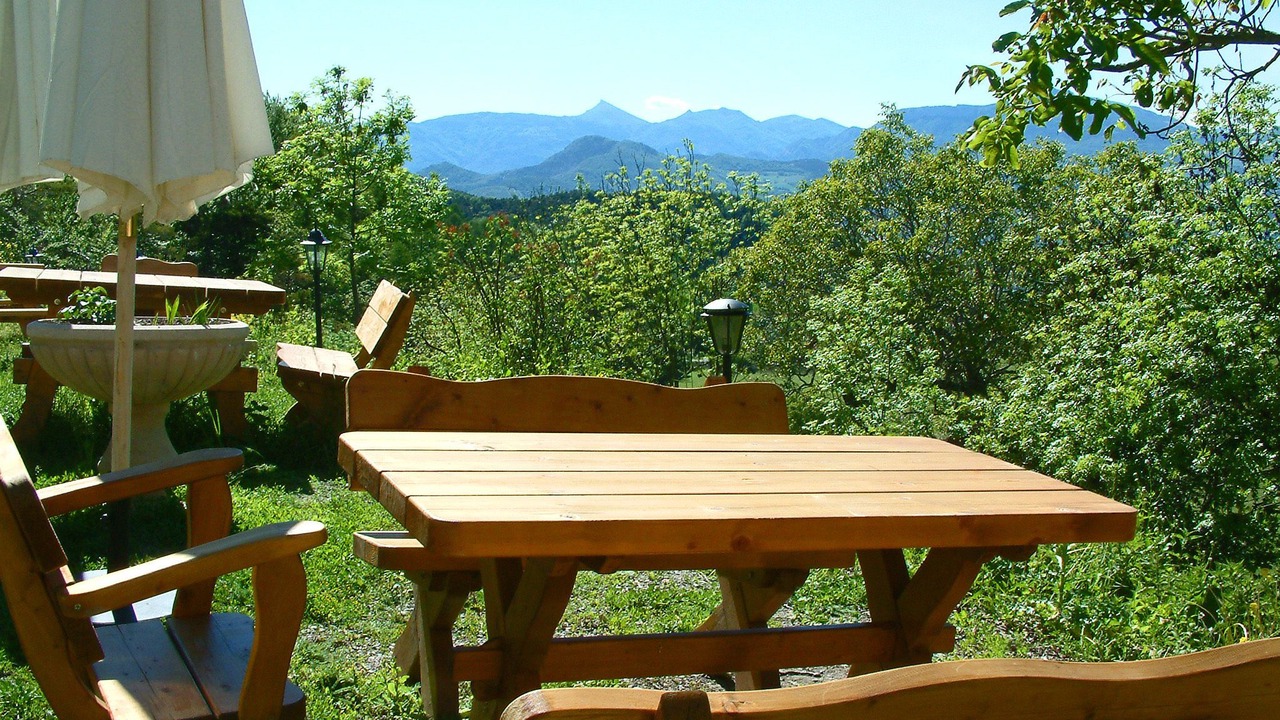 Photo of Patio Balcony in Venterol
