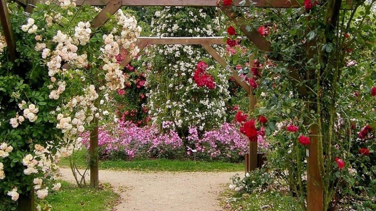 Photo of Outdoor in Lassay-les-Chateaux