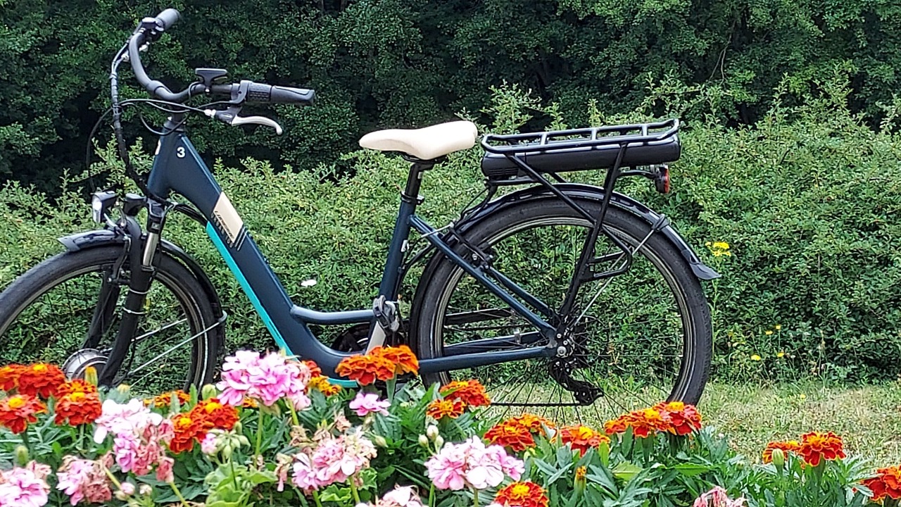 Photo of Outdoor in Essomes-sur-Marne