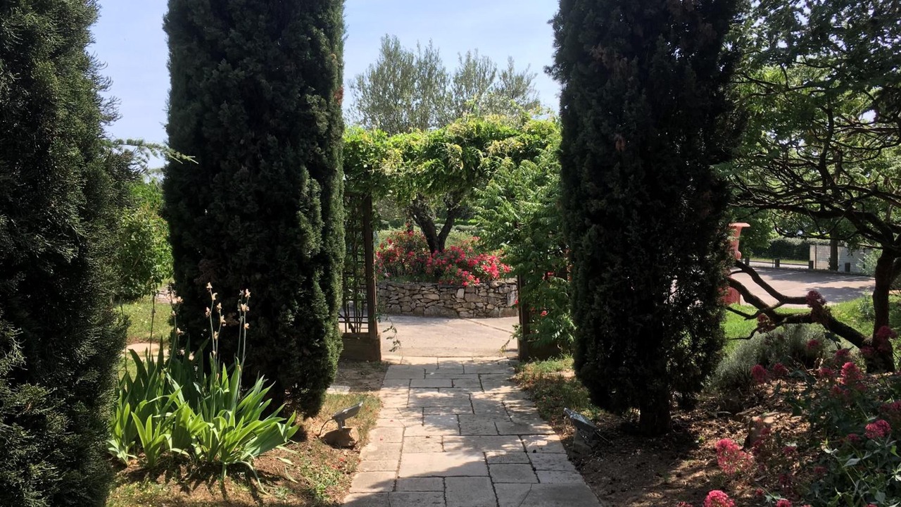 Photo of Outdoor in Chesnes