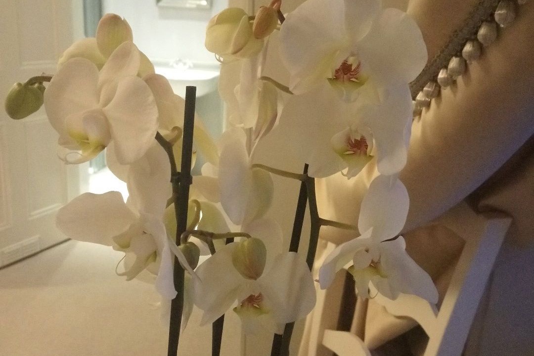 Photo of Others in Peterhead