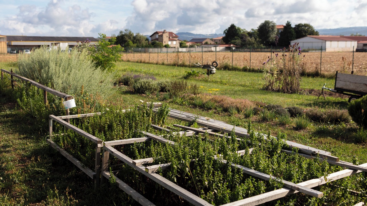 Photo of Outdoor in Cohade