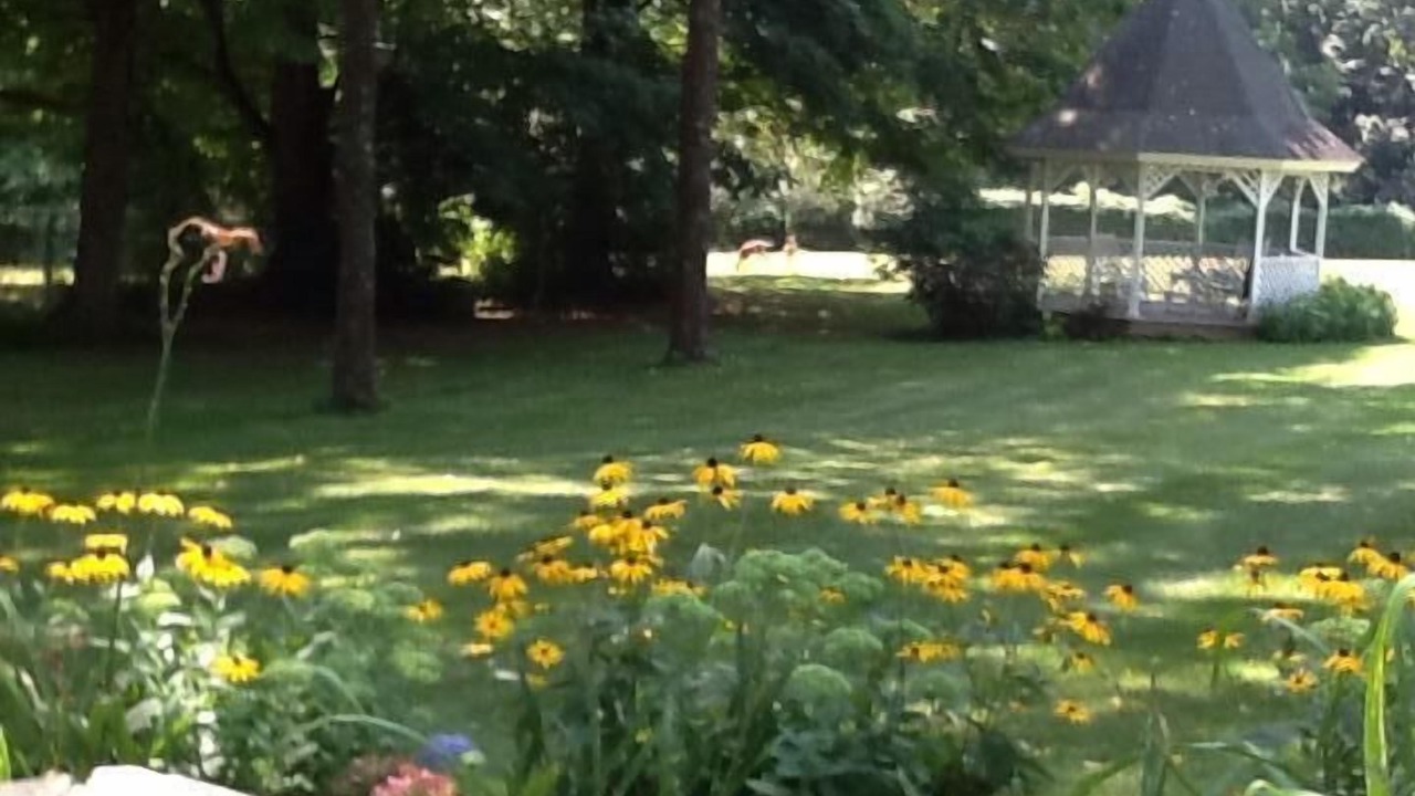 Photo of Outdoor in Mansfield