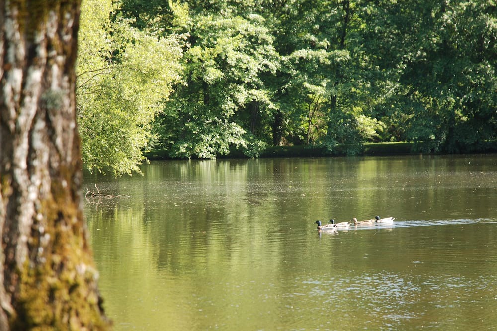 Photo of Outdoor in Frejairolles