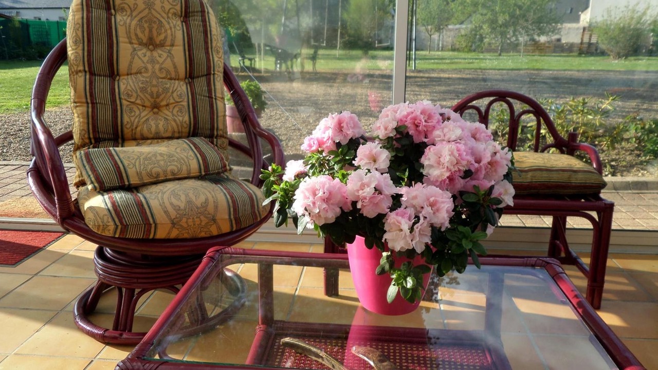 Photo of Outdoor in Thorigne-d'Anjou