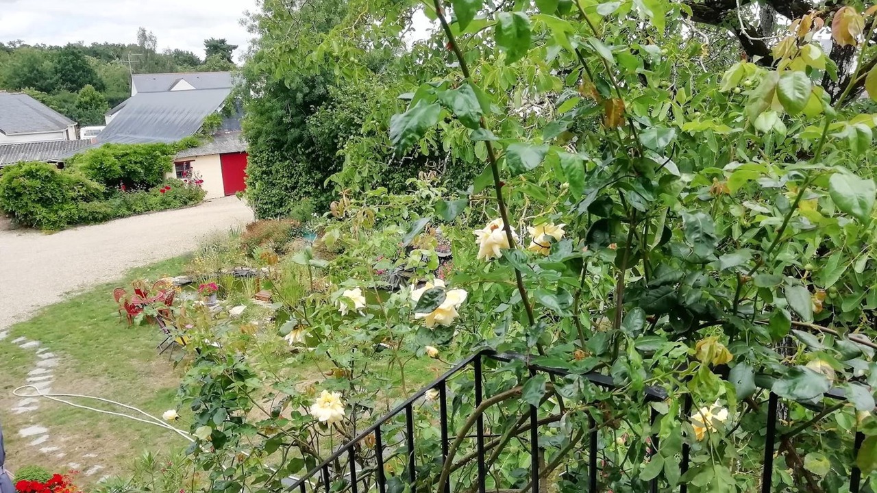 Photo of Outdoor in Thorigne-d'Anjou