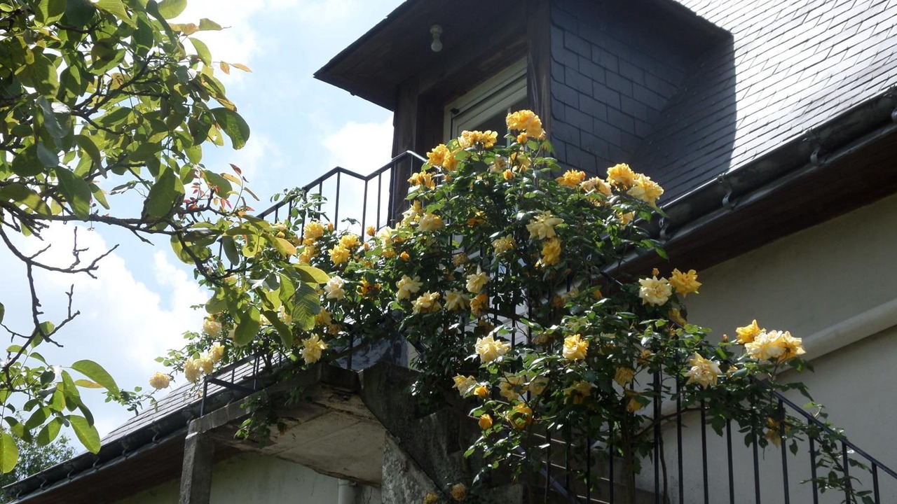 Photo of Outdoor in Thorigne-d'Anjou