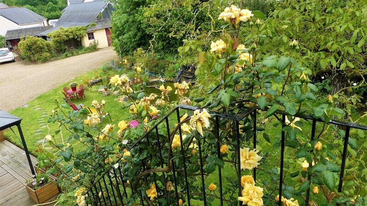 Photo of Outdoor in Thorigne-d'Anjou