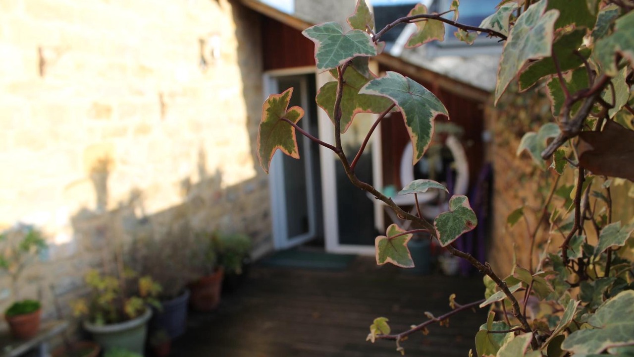 Photo of Outdoor in Charleville-Mezieres