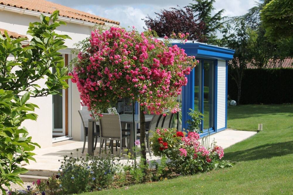 Photo of Outdoor in Le Boupere