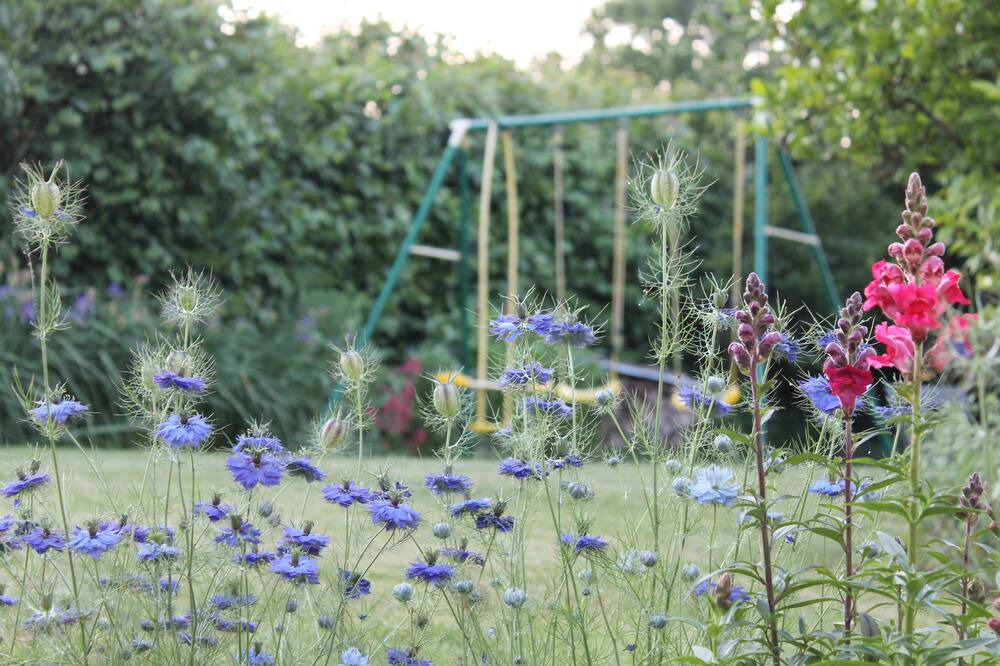 Photo of Outdoor in Le Boupere
